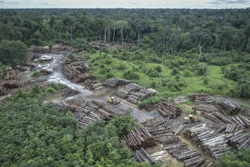 Brésil : La déforestation en Amazonie s'accélère encore et encore